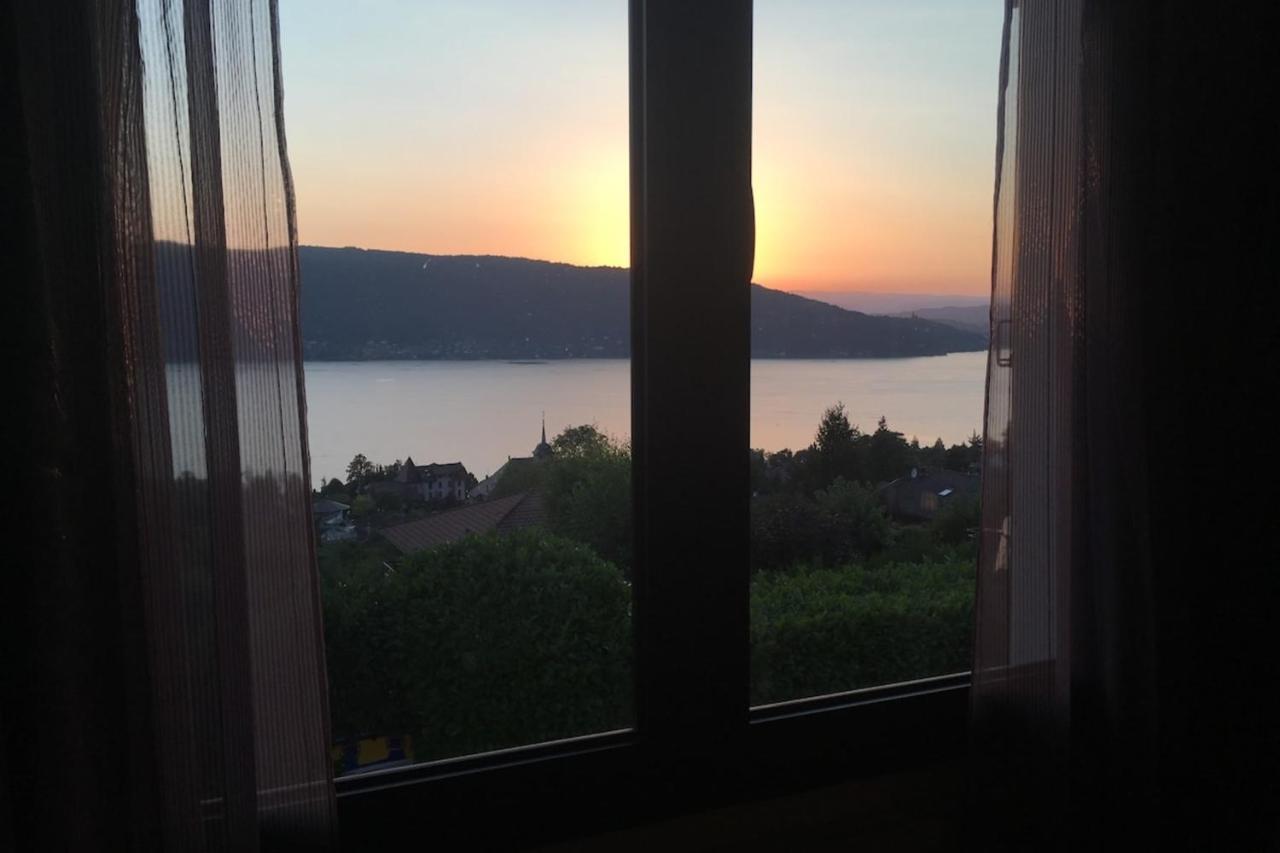 Maisonnette Vue Panoramique Lac D'Annecy Верие-дю-Лак Екстериор снимка