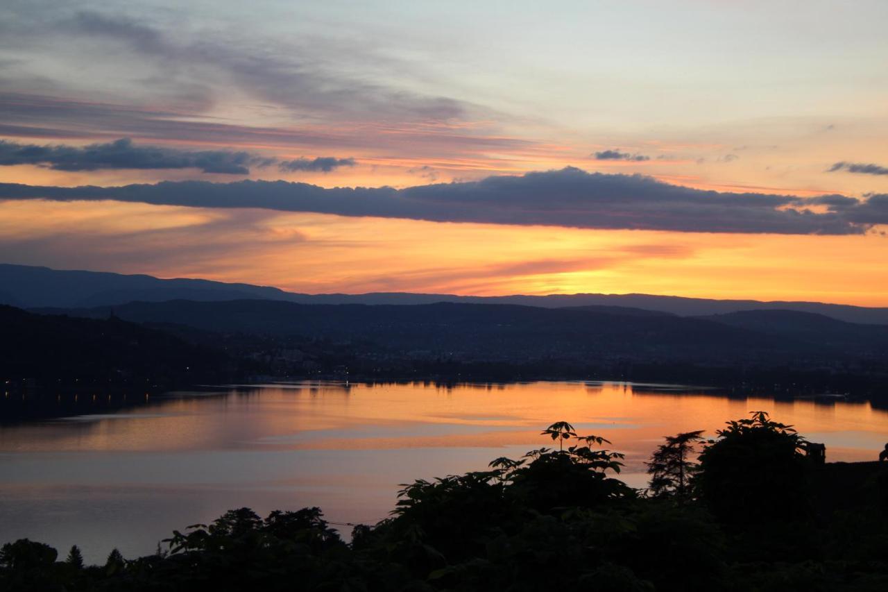 Maisonnette Vue Panoramique Lac D'Annecy Верие-дю-Лак Екстериор снимка